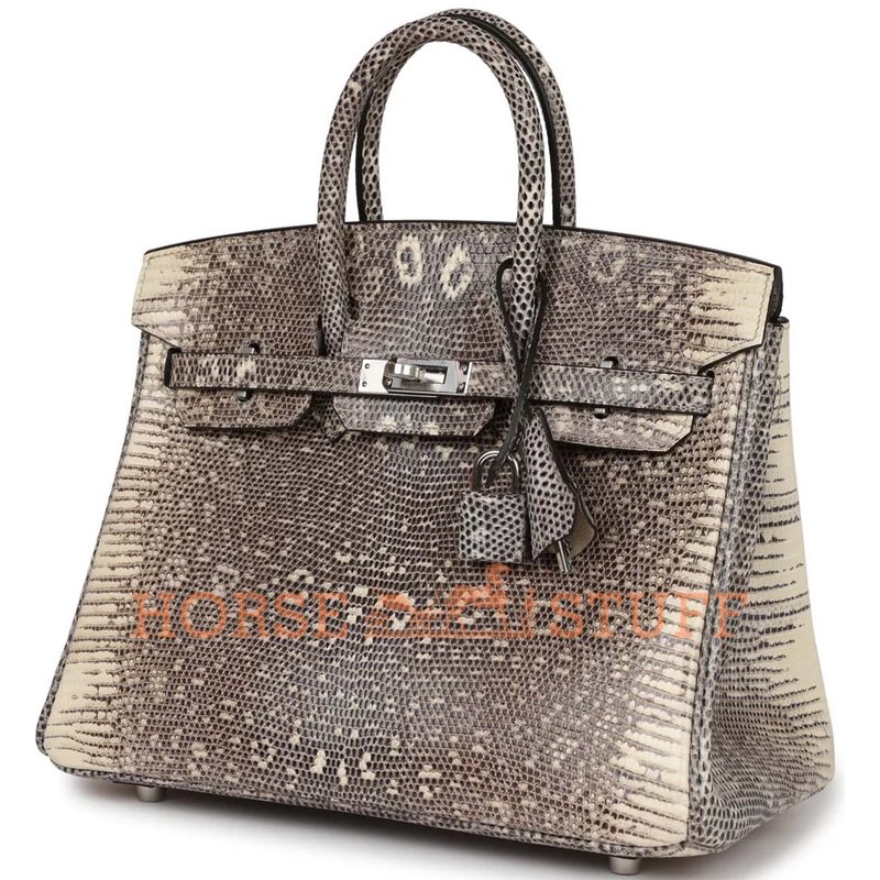 HERMÈS BIRKIN 25 OMBRE ( White ) SHINY SALVATOR VARANUS LIZARD PHW