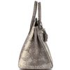 HERMÈS BIRKIN 25 OMBRE ( White ) SHINY SALVATOR VARANUS LIZARD PHW