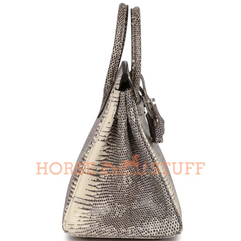 HERMÈS BIRKIN 25 OMBRE ( White ) SHINY SALVATOR VARANUS LIZARD PHW