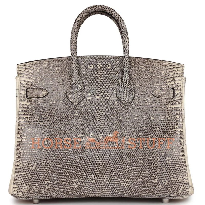 HERMÈS BIRKIN 25 OMBRE ( White ) SHINY SALVATOR VARANUS LIZARD PHW