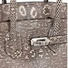 HERMÈS BIRKIN 25 OMBRE ( White ) SHINY SALVATOR VARANUS LIZARD PHW