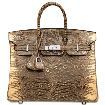 Hermès Birkin 25 Ombre ( Yellow ) Shiny Salvator Varanus Lizard PHW