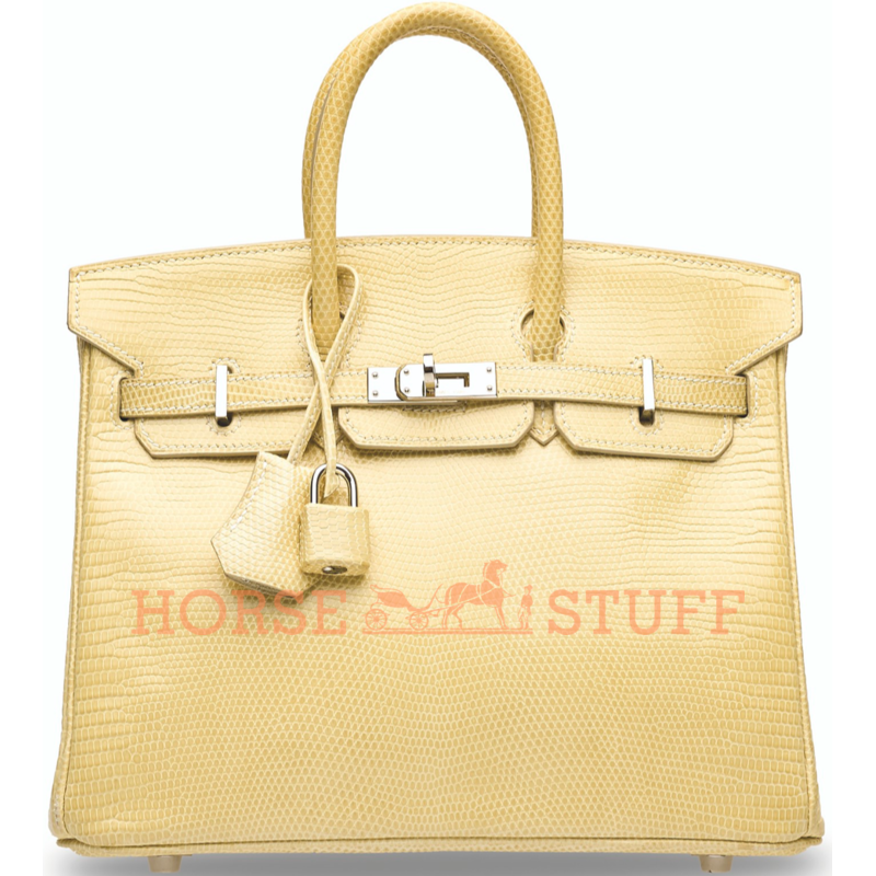 Hermès Birkin 25 Parchemin Shiny Niloticus Lizard PHW