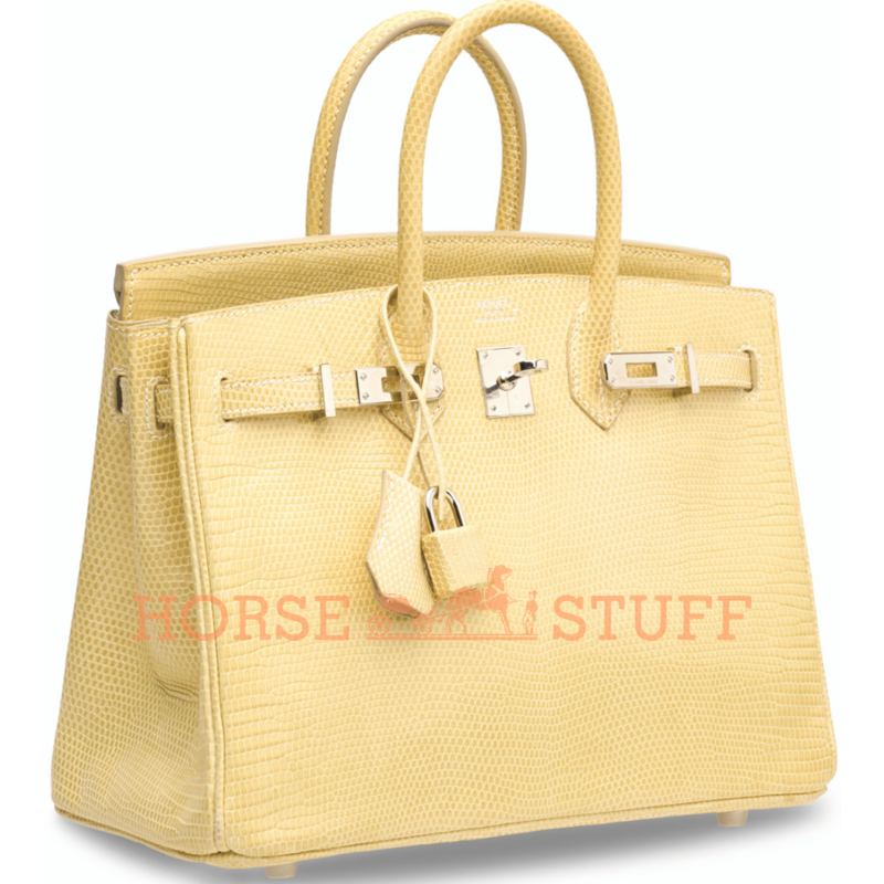 Hermès Birkin 25 Parchemin Shiny Niloticus Lizard PHW