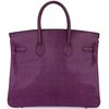 Hermès Birkin 25 Violet Shiny Niloticus Lizard PHW