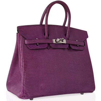 Hermès Birkin 25 Violet Shiny Niloticus Lizard PHW