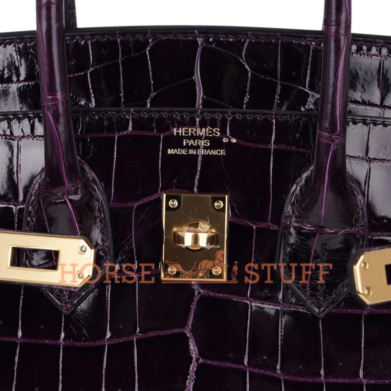 Hermès Birkin 25 Aubergine Lisse Crocodile Niloticus GHW