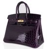 Hermès Birkin 25 Aubergine Lisse Crocodile Niloticus GHW