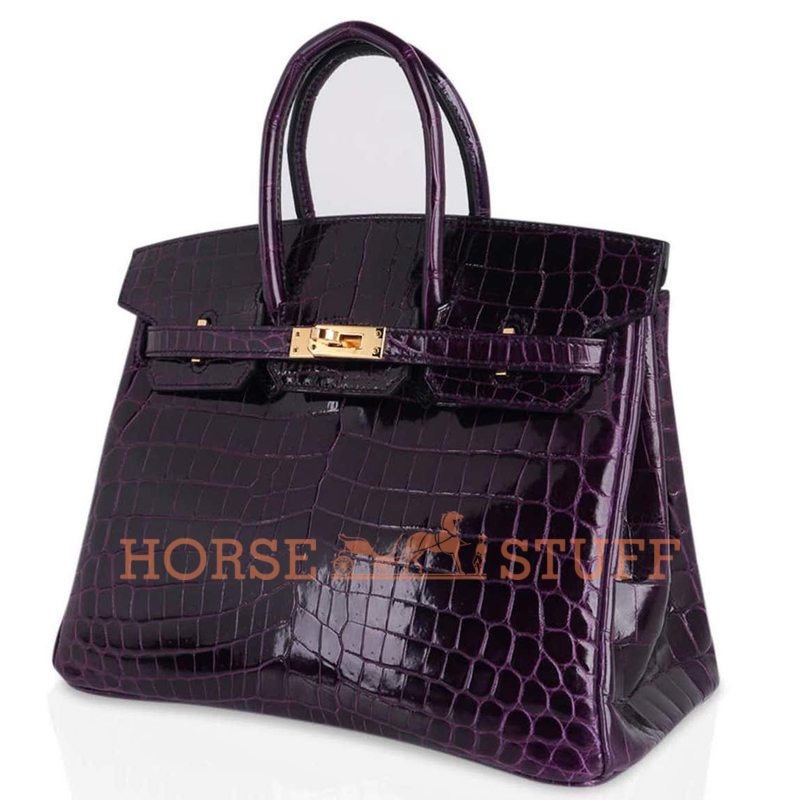 Hermès Birkin 25 Aubergine Lisse Crocodile Niloticus GHW