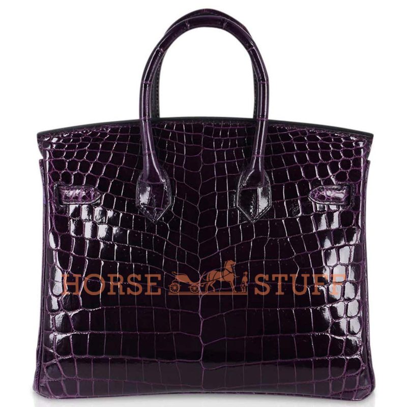 Hermès Birkin 25 Aubergine Lisse Crocodile Niloticus GHW