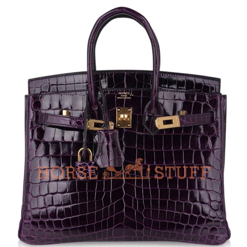 Hermès Birkin 25 Aubergine Lisse Crocodile Niloticus GHW