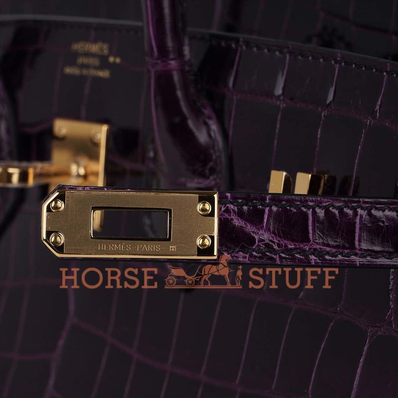 Hermès Birkin 25 Aubergine Lisse Crocodile Niloticus GHW