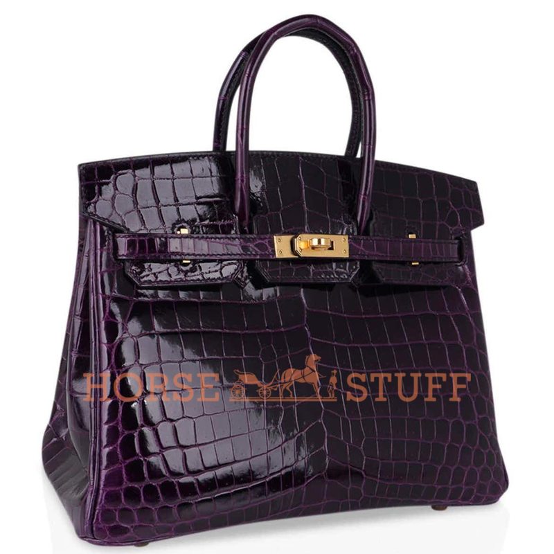 Hermès Birkin 25 Aubergine Lisse Crocodile Niloticus GHW