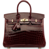 Hermès Birkin 25 Bordeaux Lisse Crocodile Niloticus GHW