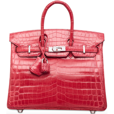 Hermès Birkin 25 Bougainvillier Lisse Crocodile Niloticus PHW