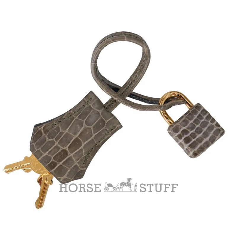 Hermès Birkin 25 Gris Tourterelle Shiny Crocodile Niloticus GHW