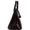 Hermès Birkin 25 Havane Shiny Crocodile Niloticus PHW