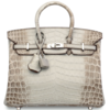 Hermès Birkin 25 Gris Cendre Himalayan Crocodile Niloticus PHW