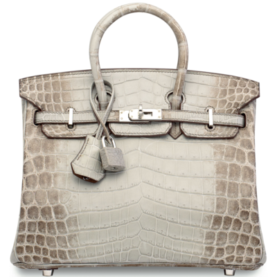 Hermès Birkin 25 Gris Cendre Himalayan Crocodile Niloticus PHW