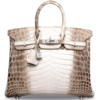 Hermès Birkin 25 Blanc Himalayan Crocodile Niloticus White 18K Gold, Diamonds