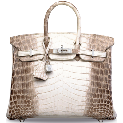 Hermès Birkin 25 Blanc Himalayan Crocodile Niloticus White 18K Gold, Diamonds