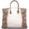 Hermès Birkin 25 Blanc Himalayan Crocodile Niloticus White 18K Gold, Diamonds