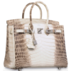 Hermès Birkin 25 Blanc Himalayan Crocodile Niloticus White 18K Gold, Diamonds