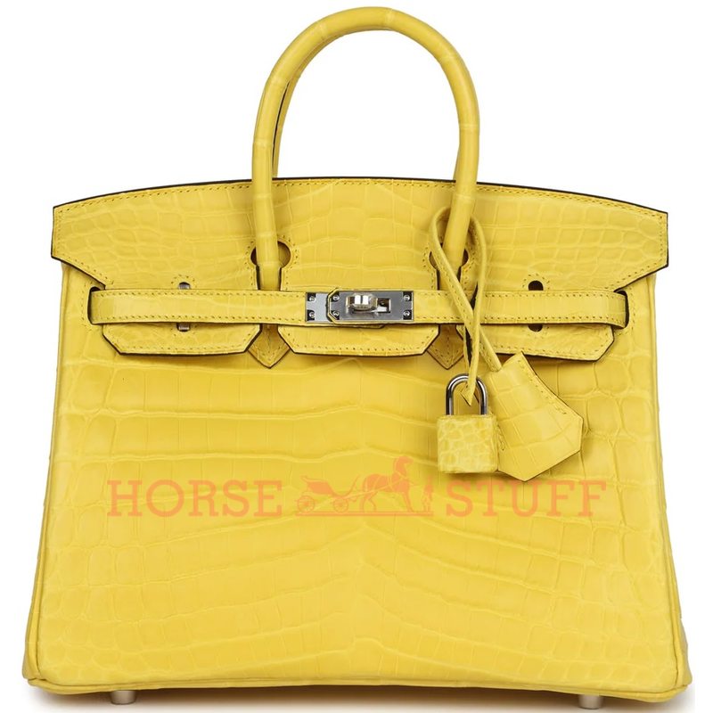 Hermès Birkin 25 Mimosa Matte Crocodile Niloticus PHW