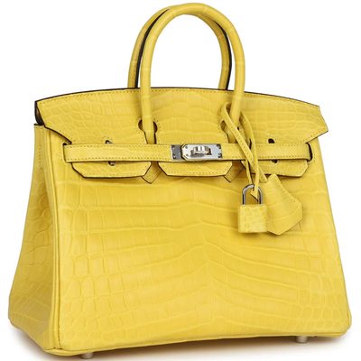 Hermès Birkin 25 Mimosa Matte Crocodile Niloticus PHW
