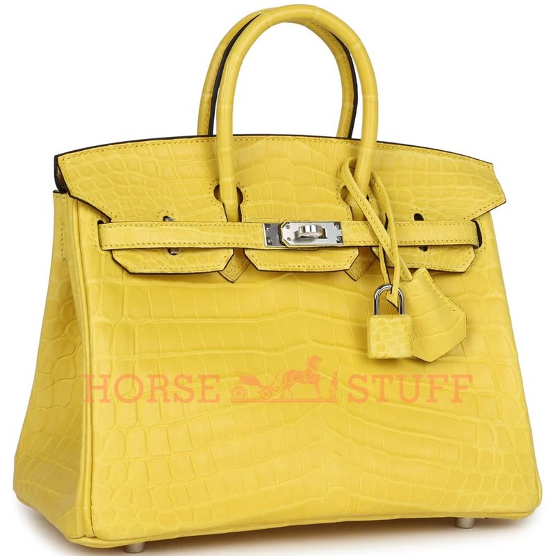 Hermès Birkin 25 Mimosa Matte Crocodile Niloticus PHW