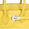 Hermès Birkin 25 Mimosa Matte Crocodile Niloticus PHW