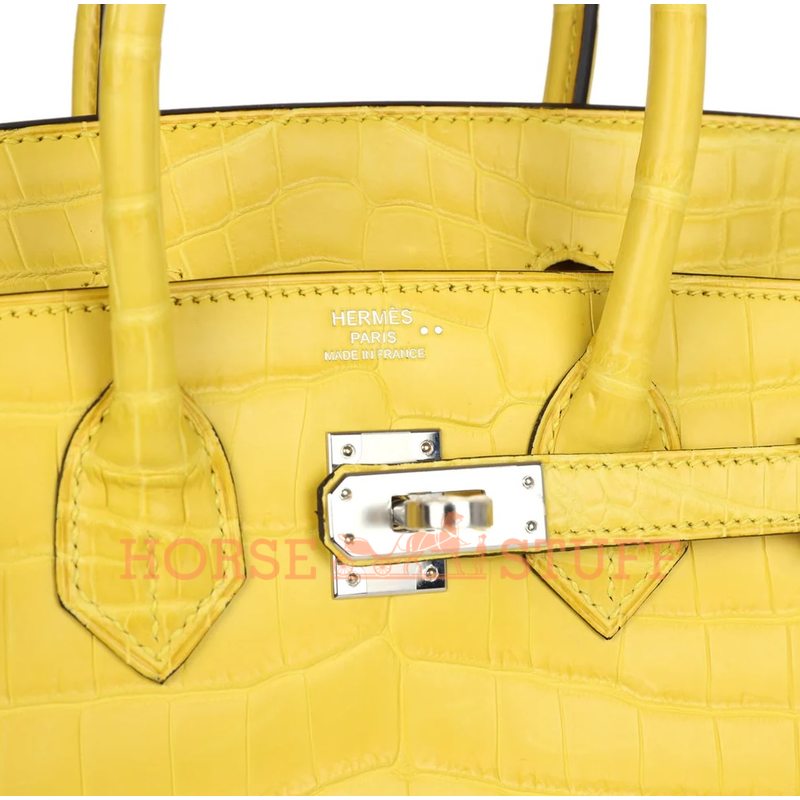 Hermès Birkin 25 Mimosa Matte Crocodile Niloticus PHW