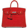 Hermès Birkin 25 Orange Poppy Matte Crocodile Niloticus PHW