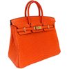 Hermès Birkin 25 Orange Matte Crocodile Niloticus GHW