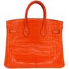 Hermès Birkin 25 Orange Matte Crocodile Niloticus GHW