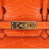 Hermès Birkin 25 Orange Matte Crocodile Niloticus GHW