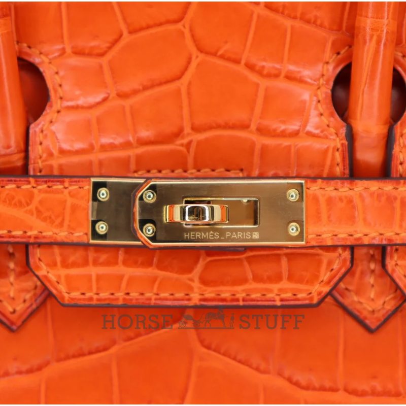 Hermès Birkin 25 Orange Matte Crocodile Niloticus GHW