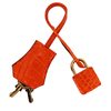 Hermès Birkin 25 Orange Matte Crocodile Niloticus GHW