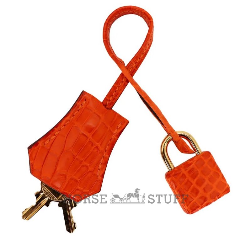 Hermès Birkin 25 Orange Matte Crocodile Niloticus GHW