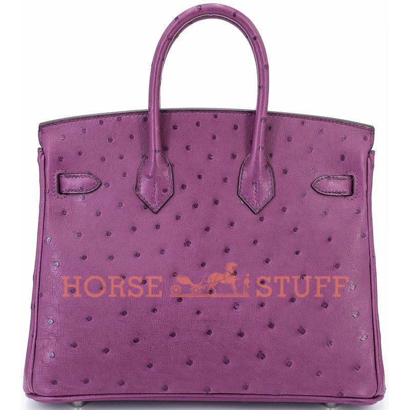 Hermès Birkin 25 Anemone Ostrich PHW