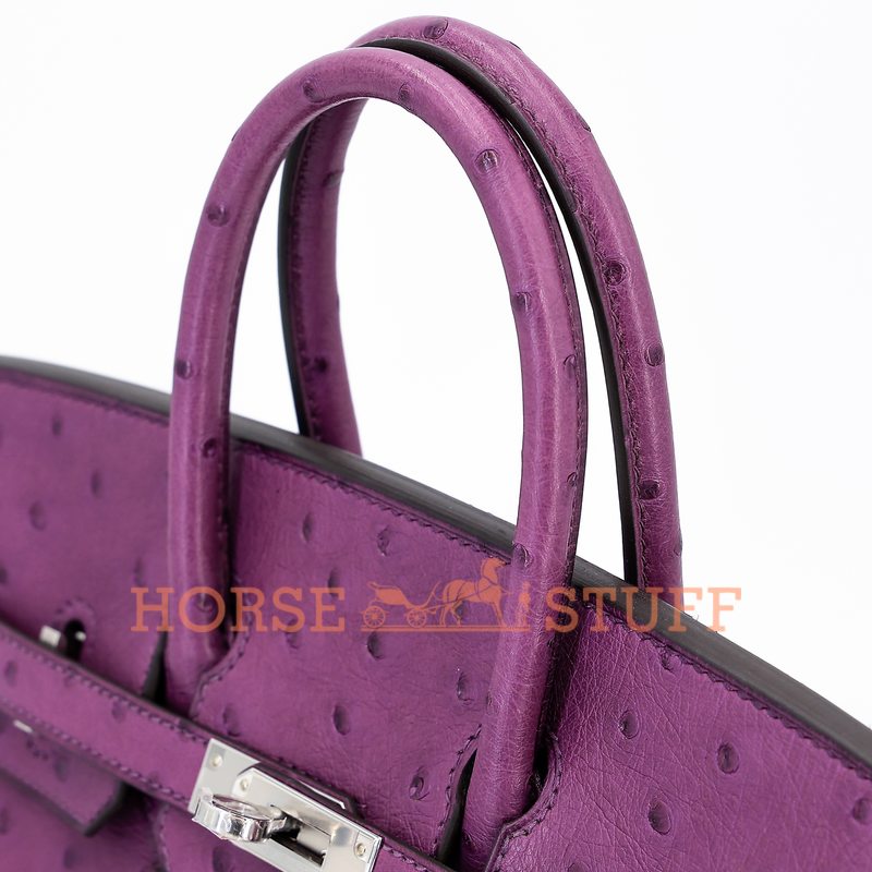 Hermès Birkin 25 Anemone Ostrich PHW