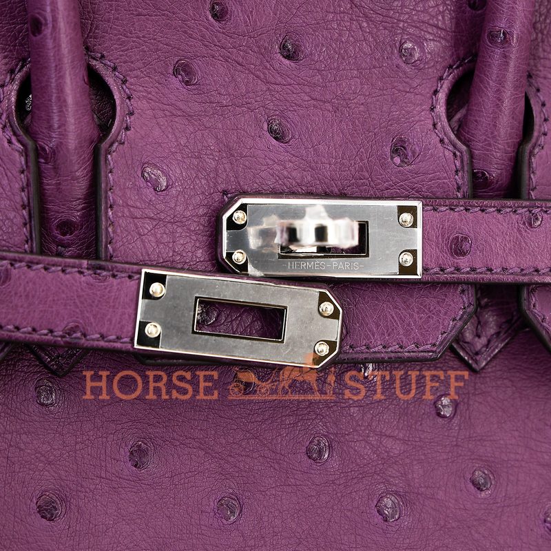 Hermès Birkin 25 Anemone Ostrich PHW