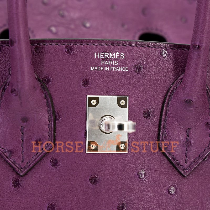 Hermès Birkin 25 Anemone Ostrich PHW