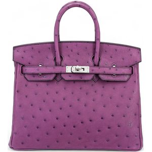 Hermès Birkin 25 Anemone Ostrich PHW