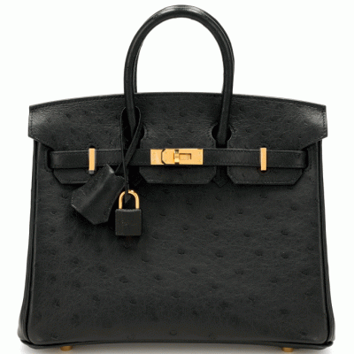 Hermès Birkin 25 Black Ostrich GHW 