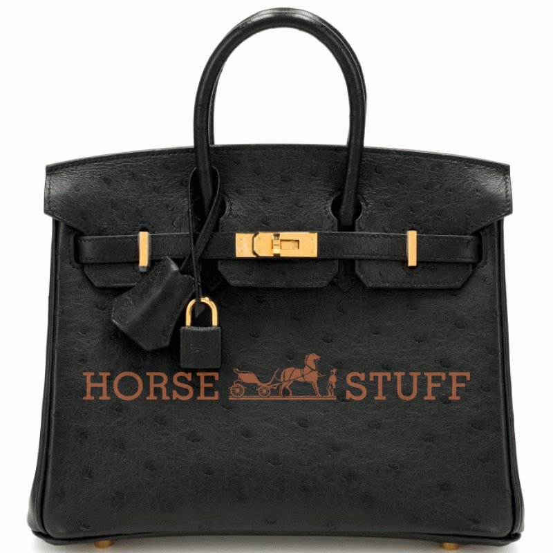 Hermès Birkin 25 Black Ostrich GHW