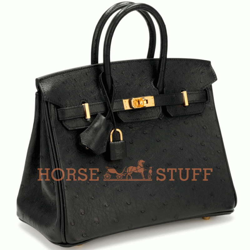 Hermès Birkin 25 Black Ostrich GHW