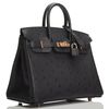 Hermès Birkin 25 Black Ostrich RGHW