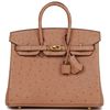 Hermès Birkin 25 Chai Ostrich GHW