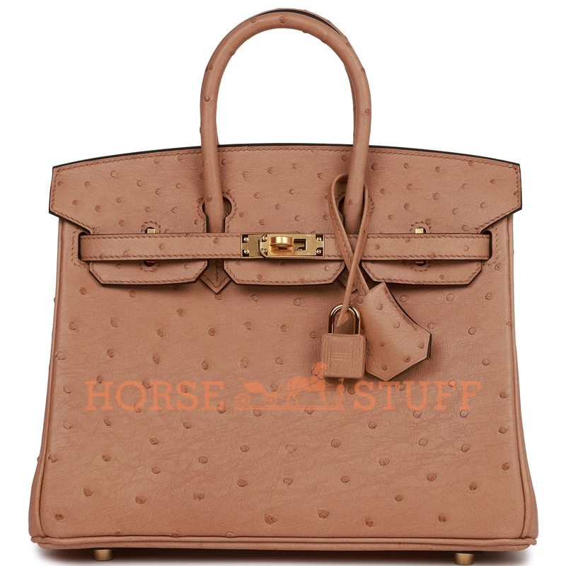 Hermès Birkin 25 Chai Ostrich GHW